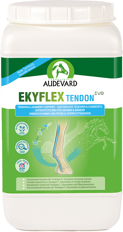Audevard Ekyflex Tendon evo