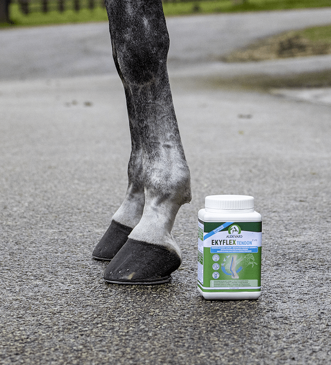 Specialized composition of active ingredients