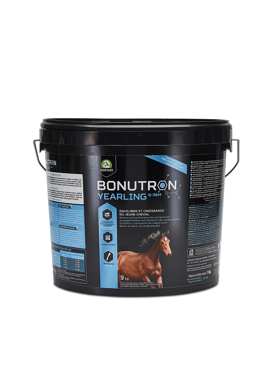 Audevard Bonutron Yearling 6-36 M