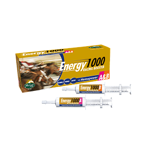Mervue Energy 1000 A/B Racing Booster