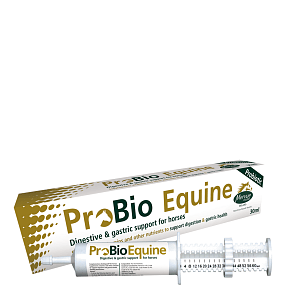 Mervue Pro Bio Equine Paste