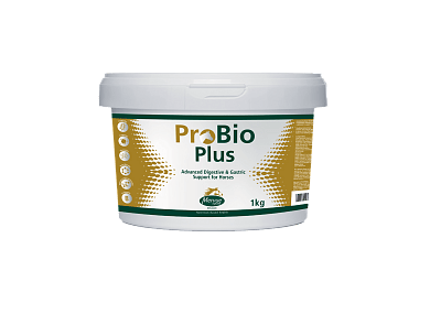 Mervue ProBio Plus