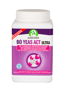 Audevard Bo Yeas Act Ultra