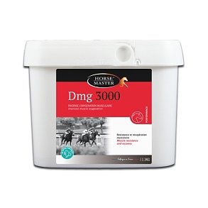 Horse master dmg 3000