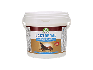 Audevard Lactofoal