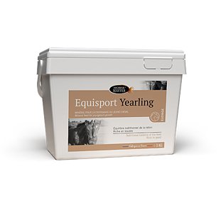 Horse master equisport yerling